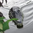 F96137805A269CC0E7A681A0BC75C9EF.webp